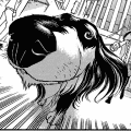 ゲロっち